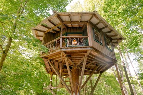 Magic wood tree house